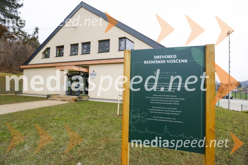 V Kranju začeli z akcijo »KR posvoji drevo«