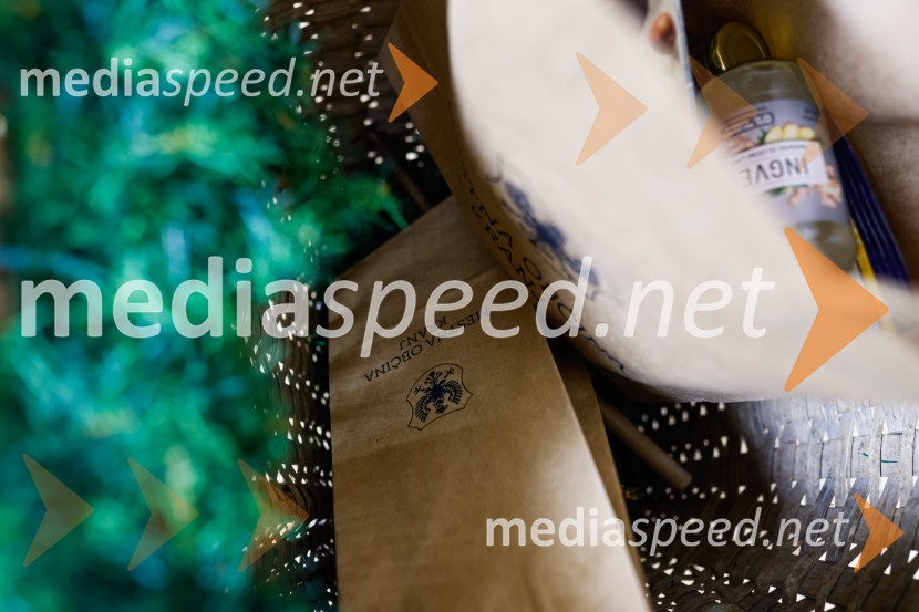 Obisk kolednikov na MO Kranj