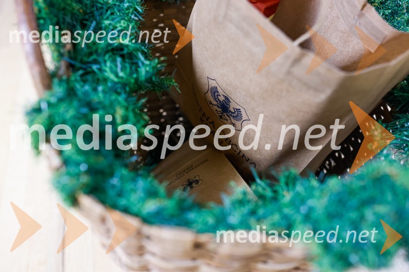 Obisk kolednikov na MO Kranj