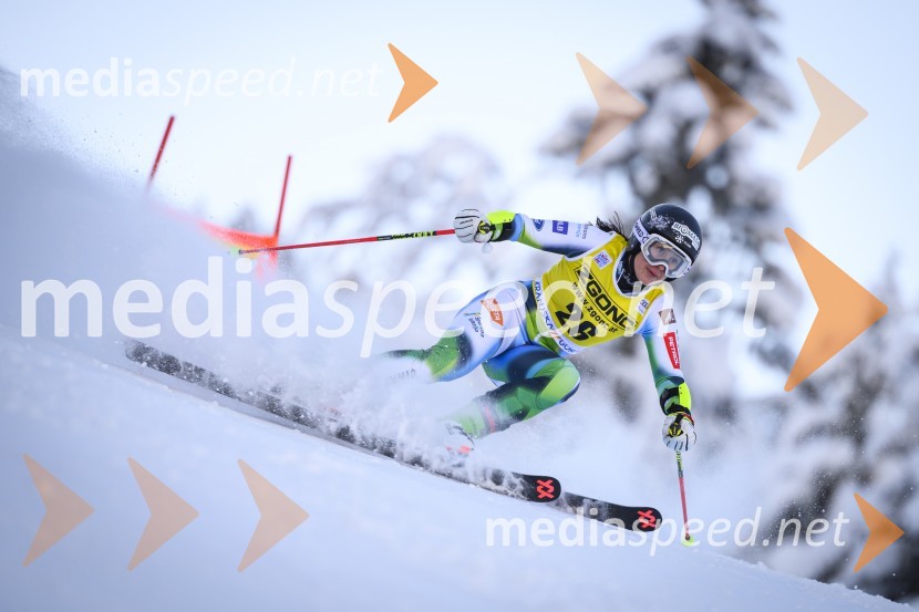  Tina Robnik, smučarka58. Zlata lisica, veleslalom v Kranjski gori