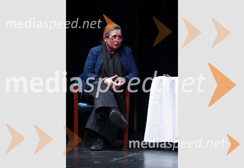 dr. Vesna  Vuk Godina, antropologinja, predavateljicaV kakšni državi želimo živeti, javna tribuna gibanja Bodi sprememba