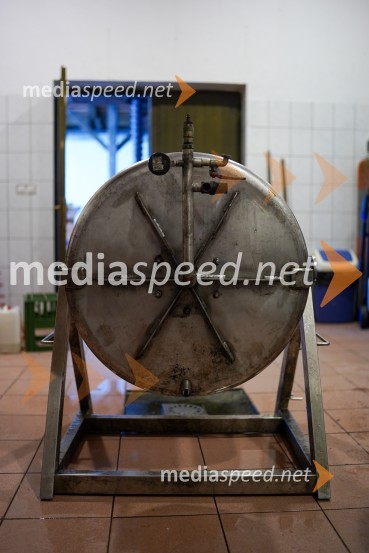 Trgatev grozdja na Meranovem