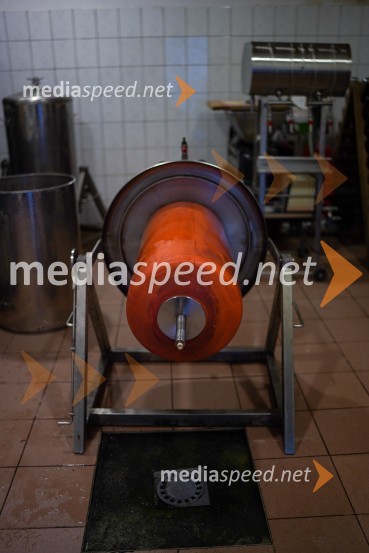 Trgatev grozdja na Meranovem