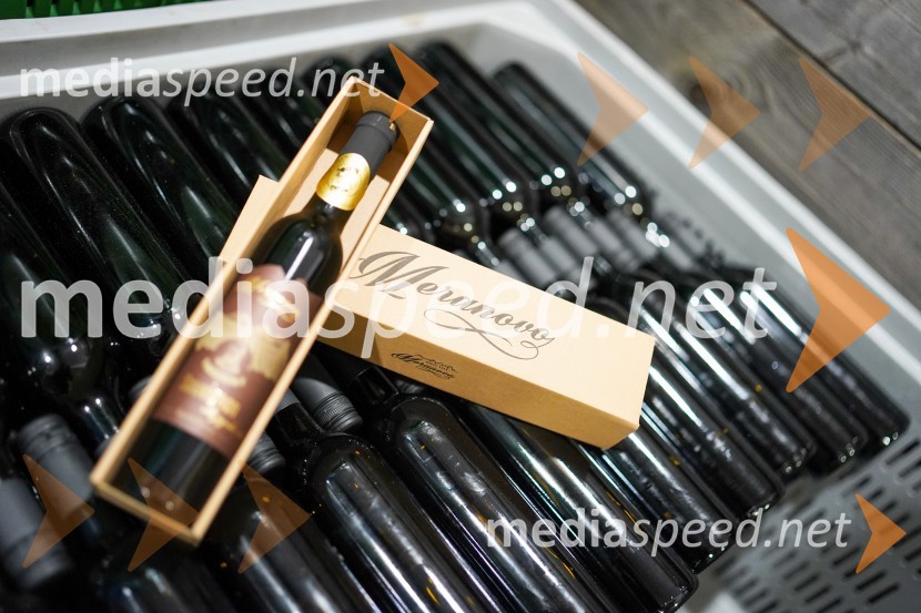 Trgatev grozdja na Meranovem