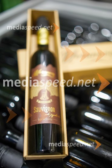 Trgatev grozdja na Meranovem