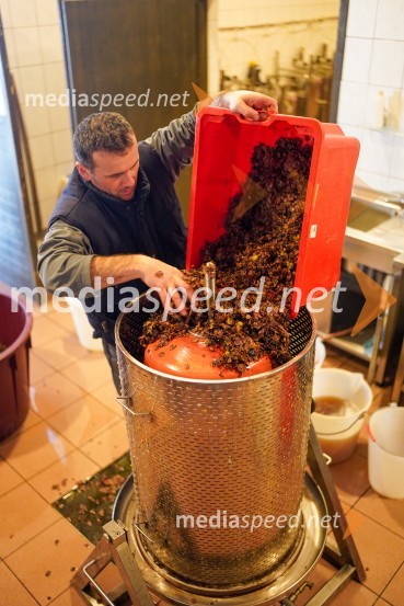  Uroš Kavkler, strokovni sodelavec, FKBV, MeranovoTrgatev grozdja na Meranovem