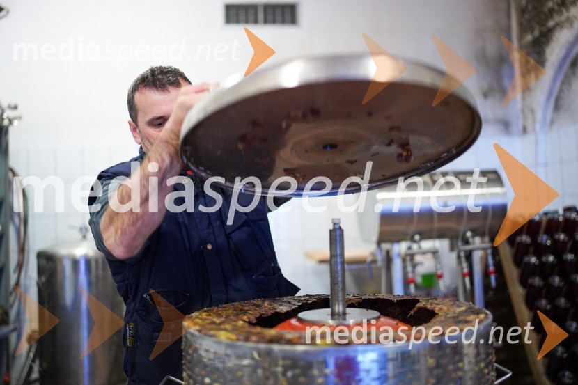  Uroš Kavkler, strokovni sodelavec, FKBV, MeranovoTrgatev grozdja na Meranovem