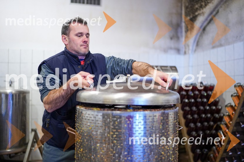  Uroš Kavkler, strokovni sodelavec, FKBV, MeranovoTrgatev grozdja na Meranovem