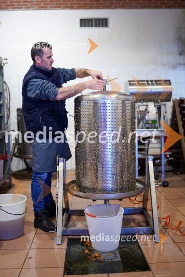  Uroš Kavkler, strokovni sodelavec, FKBV, MeranovoTrgatev grozdja na Meranovem