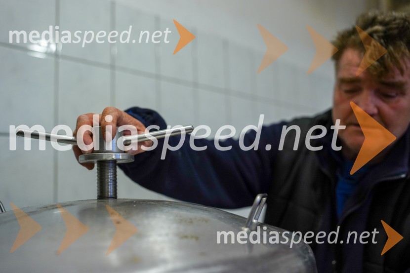 Trgatev grozdja na Meranovem