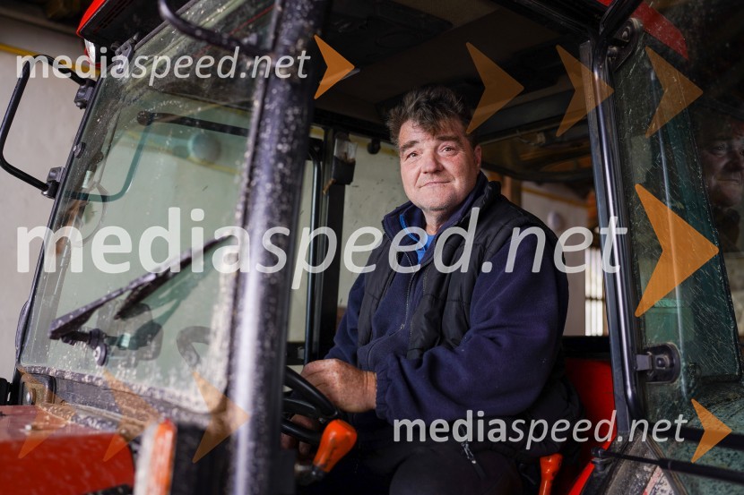 Trgatev grozdja na Meranovem