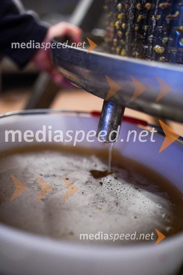 Trgatev grozdja na Meranovem