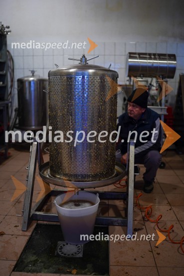  Peter  Kramer,  Fakulteta za kmetijstvo in biosistemske vede, Univerza v MariboruTrgatev grozdja na Meranovem