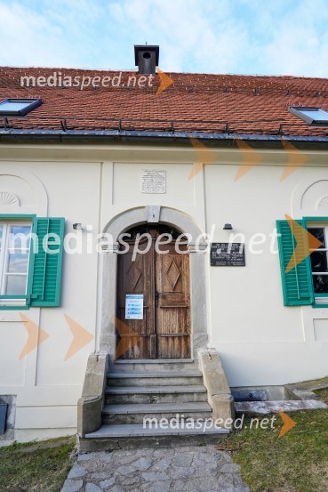 Trgatev grozdja na Meranovem