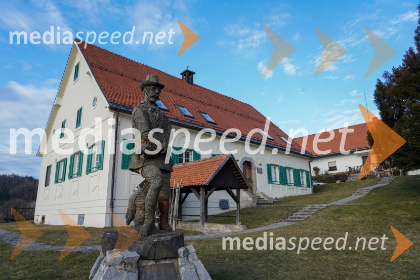 Trgatev grozdja na Meranovem