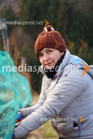 Trgatev grozdja na Meranovem