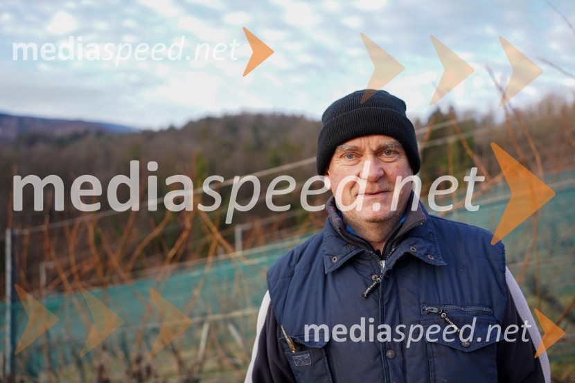  Peter  Kramer,  Fakulteta za kmetijstvo in biosistemske vede, Univerza v MariboruTrgatev grozdja na Meranovem