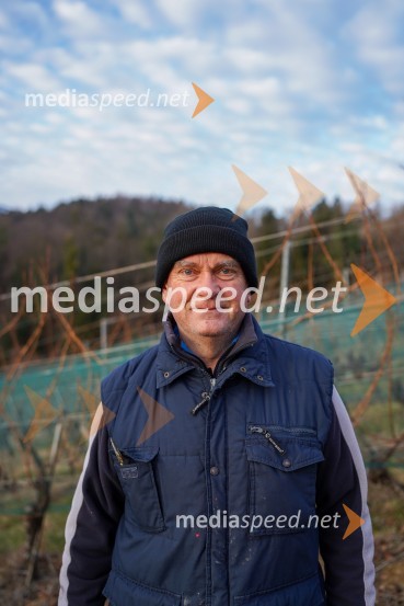  Peter  Kramer,  Fakulteta za kmetijstvo in biosistemske vede, Univerza v MariboruTrgatev grozdja na Meranovem