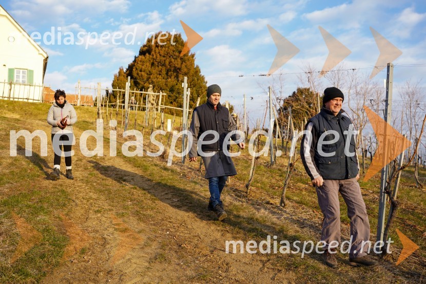  Uroš Kavkler, strokovni sodelavec, FKBV, Meranovo;  Peter  Kramer,  Fakulteta za kmetijstvo in biosistemske vede, Univerza v MariboruTrgatev grozdja na Meranovem
