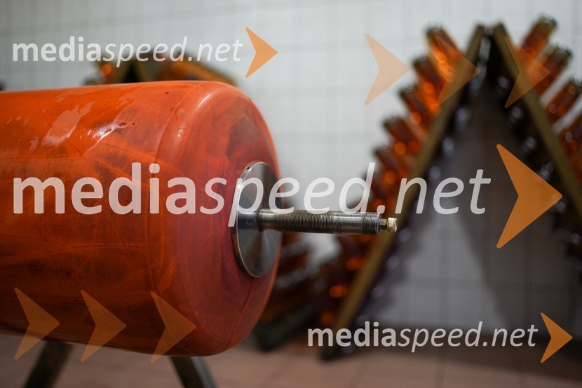 Trgatev grozdja na Meranovem