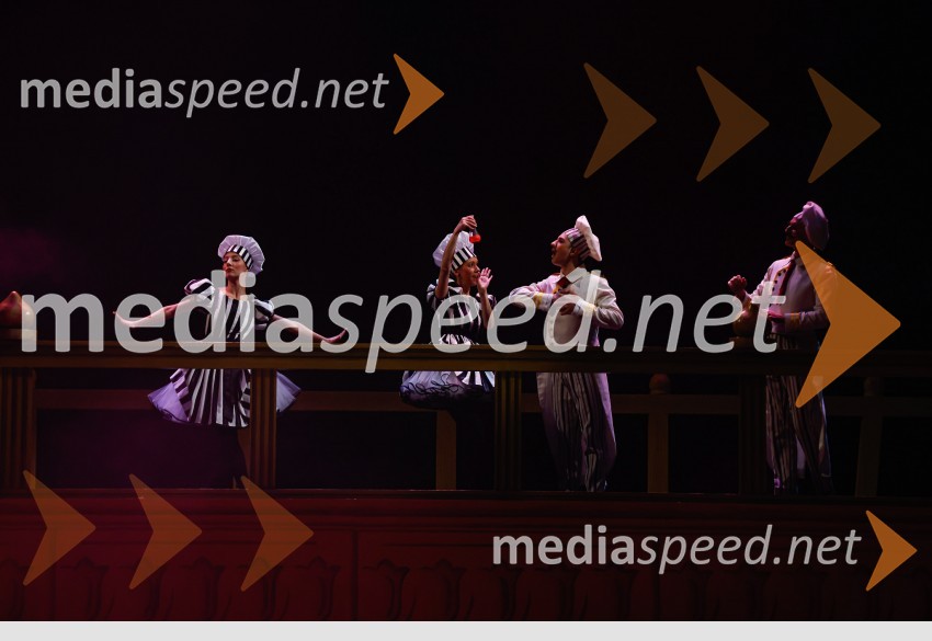 Ljubezenski napoj, premiera opere