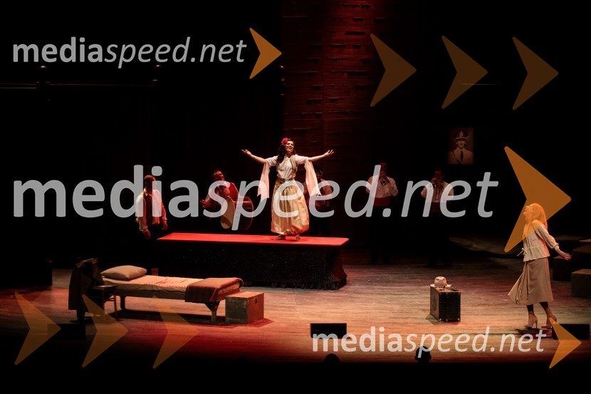  Mirjana Šajinović, igralkaTo noč sem jo videl, predpremiera drame SNG Maribor