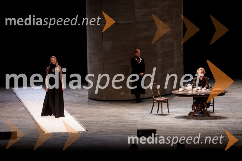 To noč sem jo videl, predpremiera drame SNG Maribor