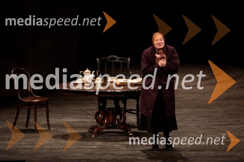 To noč sem jo videl, predpremiera drame SNG Maribor