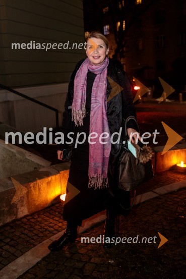  Darja Reichman, igralkaParty, premiera v SNG Drama Ljubljana