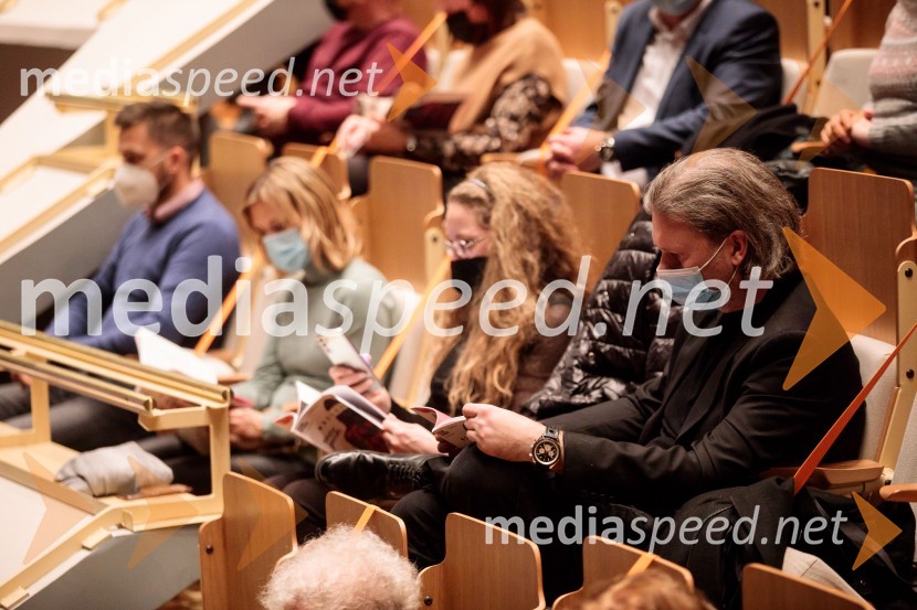 To noč sem jo videl, predstava drame SNG Maribor