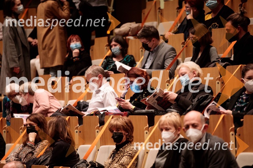 To noč sem jo videl, predstava drame SNG Maribor