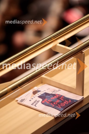 To noč sem jo videl, predstava drame SNG Maribor