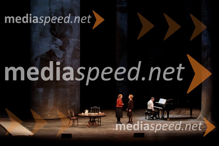 To noč sem jo videl, predstava drame SNG Maribor