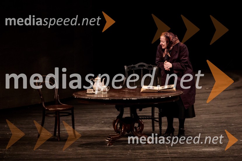  Mateja  Pucko, igralkaTo noč sem jo videl, predstava drame SNG Maribor