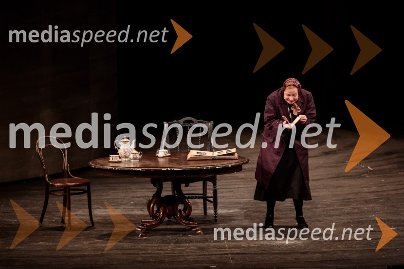  Mateja  Pucko, igralkaTo noč sem jo videl, predstava drame SNG Maribor