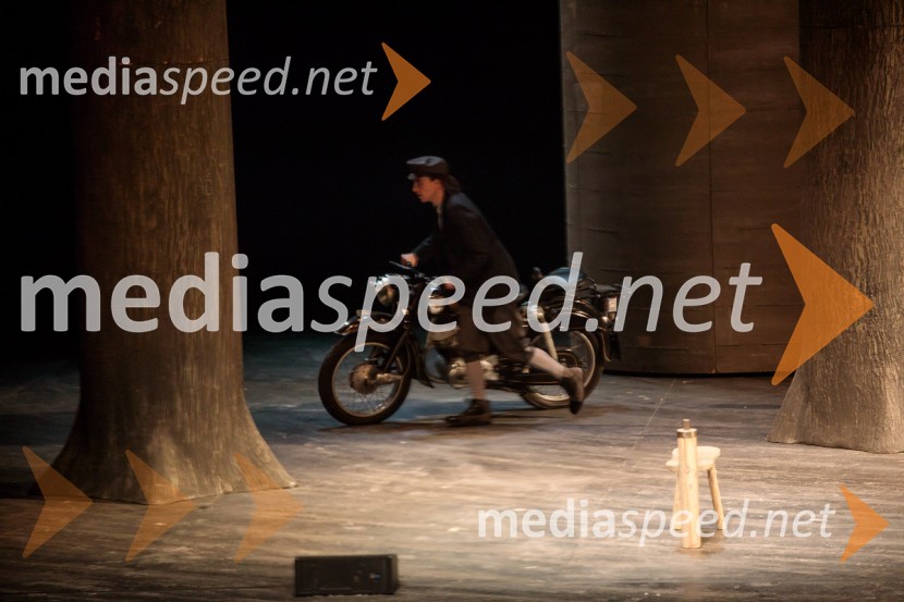 To noč sem jo videl, predstava drame SNG Maribor