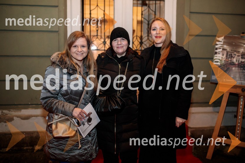  Alma Rahne, novinarka 24ur.com in POP TV;  Teja Pelko, novinarka, Svet24;  Barbara Svetek, vodja službe za marketing SNG Drama LjubljanaVse ok, premiera drame