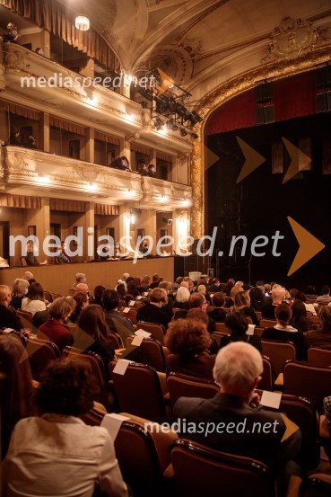 Vse ok, premiera drame