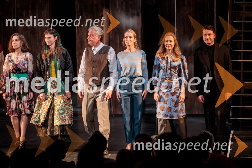  Tina Resman, igralka;  Tina Vrbnjak, igralka;  Valter Dragan, igralec;  Maša Derganc, igralka;  Saša  Mihelčič, igralka;  Saša Tabaković, igralec, nekdanji poslanec SMCVse ok, premiera drame