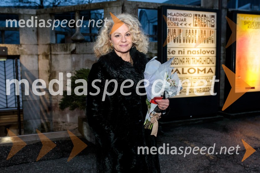 Svoje usode krojači, premiera avtorskega projekta, Slovensko mladinsko gledališče Ljubljana