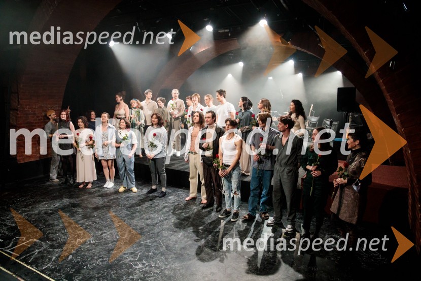 Svoje usode krojači, premiera avtorskega projekta, Slovensko mladinsko gledališče Ljubljana