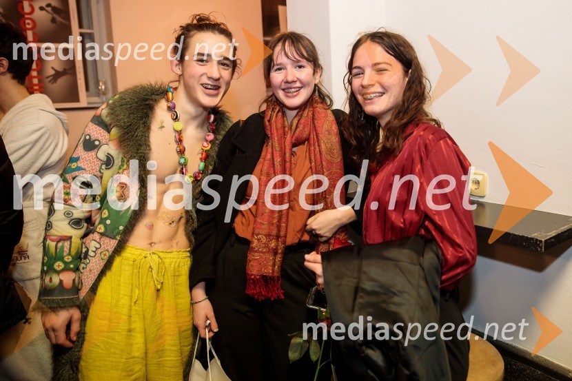  Voranc Mandić, igralec;  ... ;  ... Svoje usode krojači, premiera avtorskega projekta, Slovensko mladinsko gledališče Ljubljana