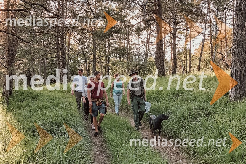 Nasveti za nepozaben ogled medveda na Kočevskem