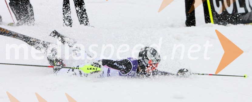 Smučarka Annemarie Gerg, Nemčija
(nedeljski slalom)42. Zlata lisica