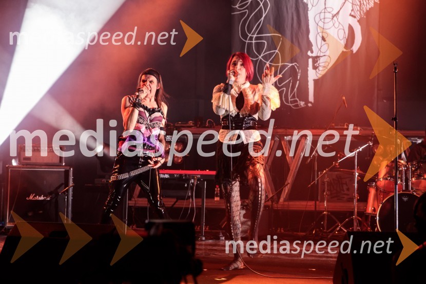 Prasica, premiera filma Tijane Zinajić