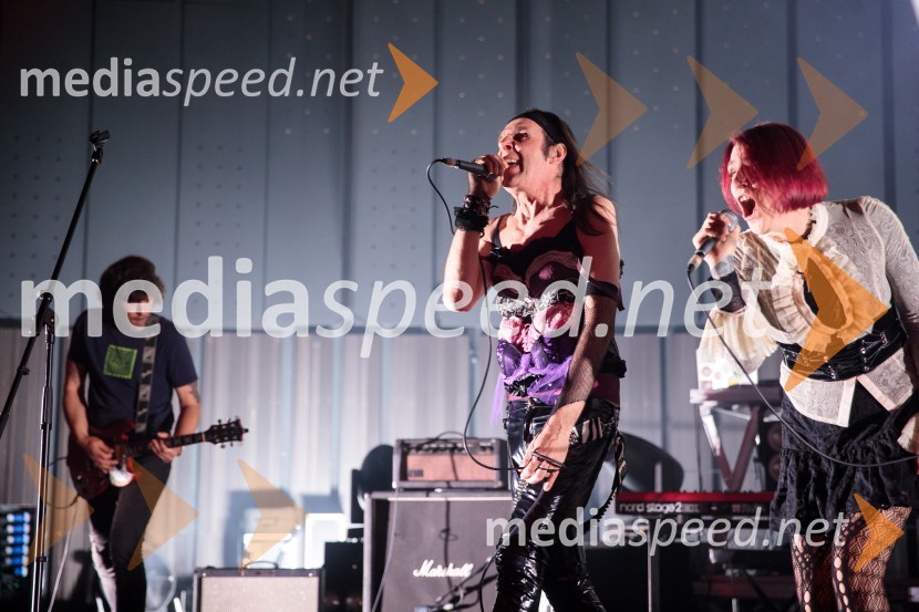 Prasica, premiera filma Tijane Zinajić