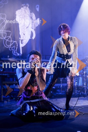 Prasica, premiera filma Tijane Zinajić