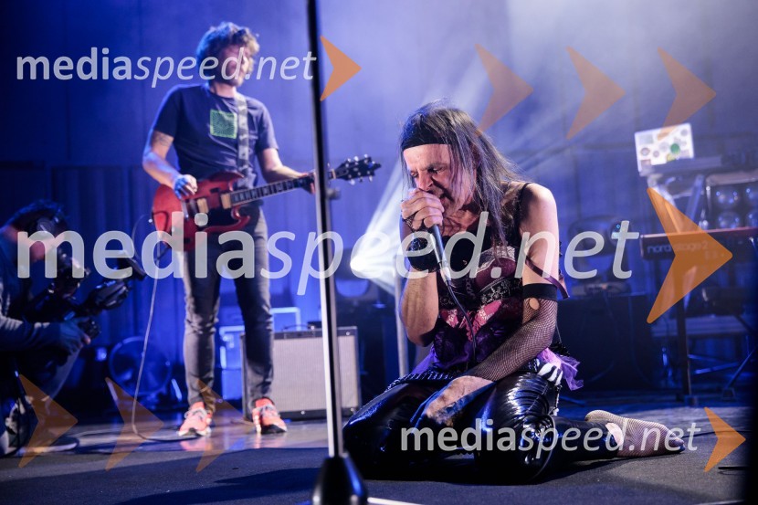 Prasica, premiera filma Tijane Zinajić