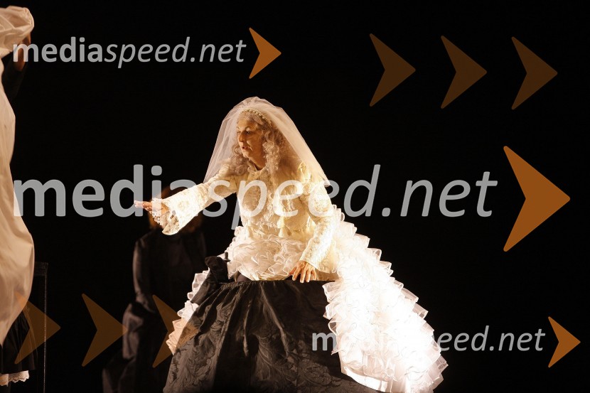 Premiera drame Hiša Bernarde AlbaHiša Bernarde Alba, premiera v SLG Celje