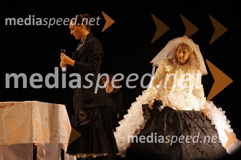 Premiera drame Hiša Bernarde AlbaHiša Bernarde Alba, premiera v SLG Celje